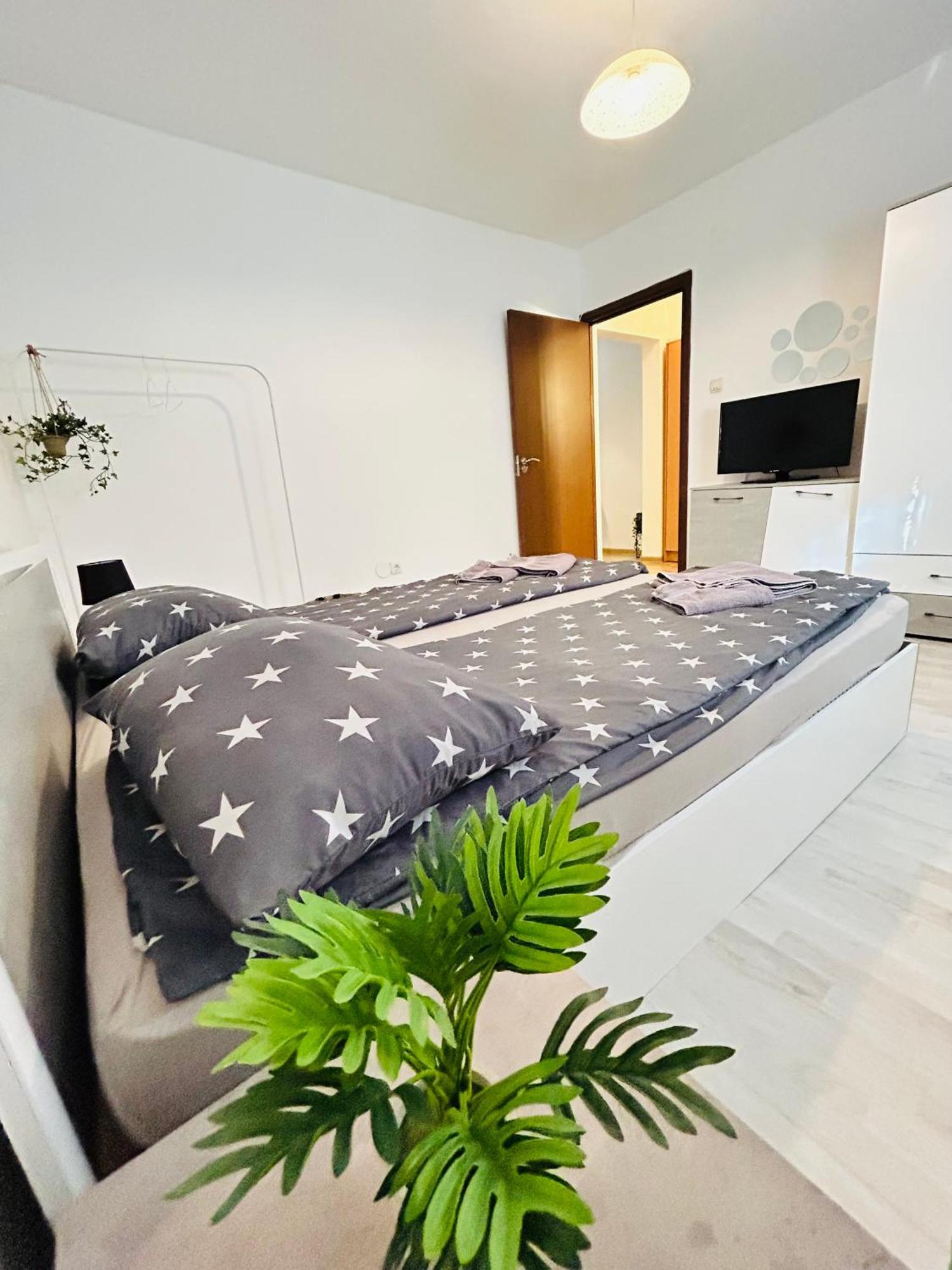 Alisz Apartments Timisoara Exterior photo